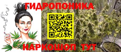 ECSTASY Можга